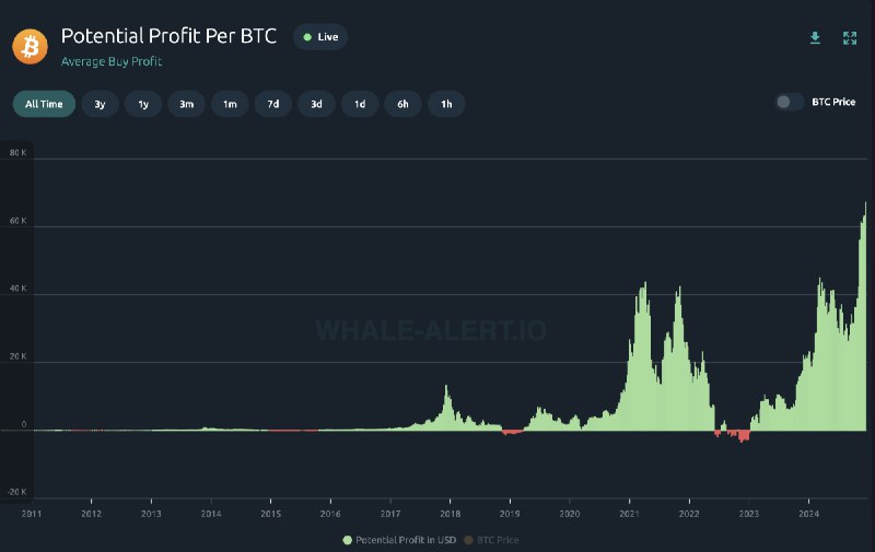 [‌](https://bitcoinmagazine.com/.image/c_fit%2Ch_800%2Cw_1200/MjExNTE2MDEzMjE1MjI5MDg3/screenshot-2024-12-19-at-113322am.png)Bitcoin Investors Are Now Up $67,000 …