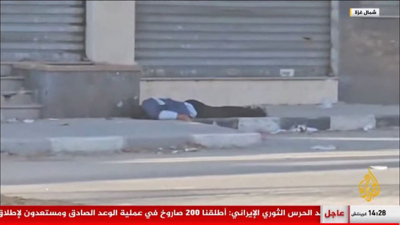 الصورة لا تحتاج إلى تعليق.. تصف …