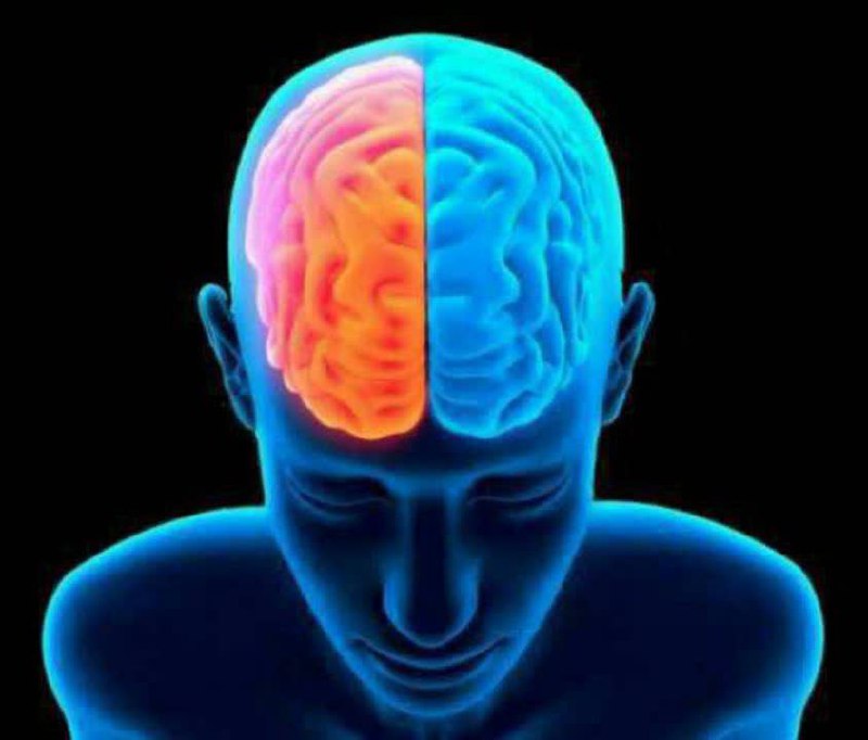 ***?***افرادی که علاوه بر زبان مادری …