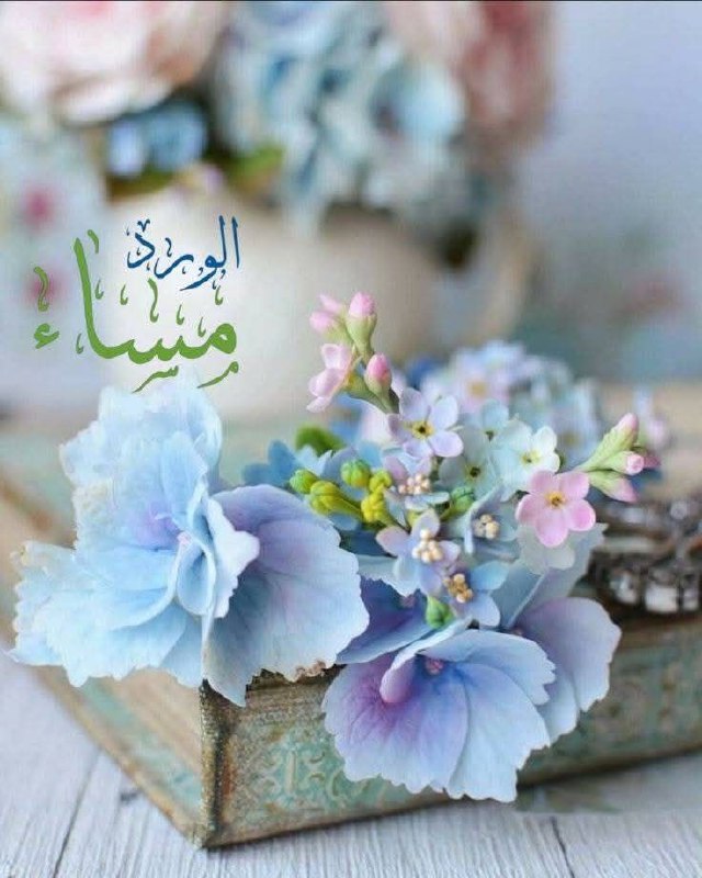 كَالْفُصُولُ قُلُوبِنَا تَرْحَلُ وَتَعُودُ .....