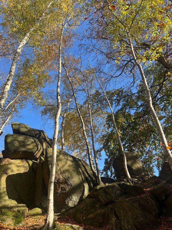 Herbst im Harz