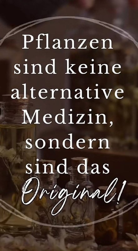 (INTERNETFUND) für richtig befunden.