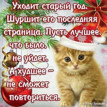 акуллвикс