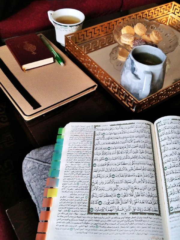 قناة | الدِّيَـم