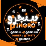 **- تعلن قناة بوت بينجرو الرسمية …