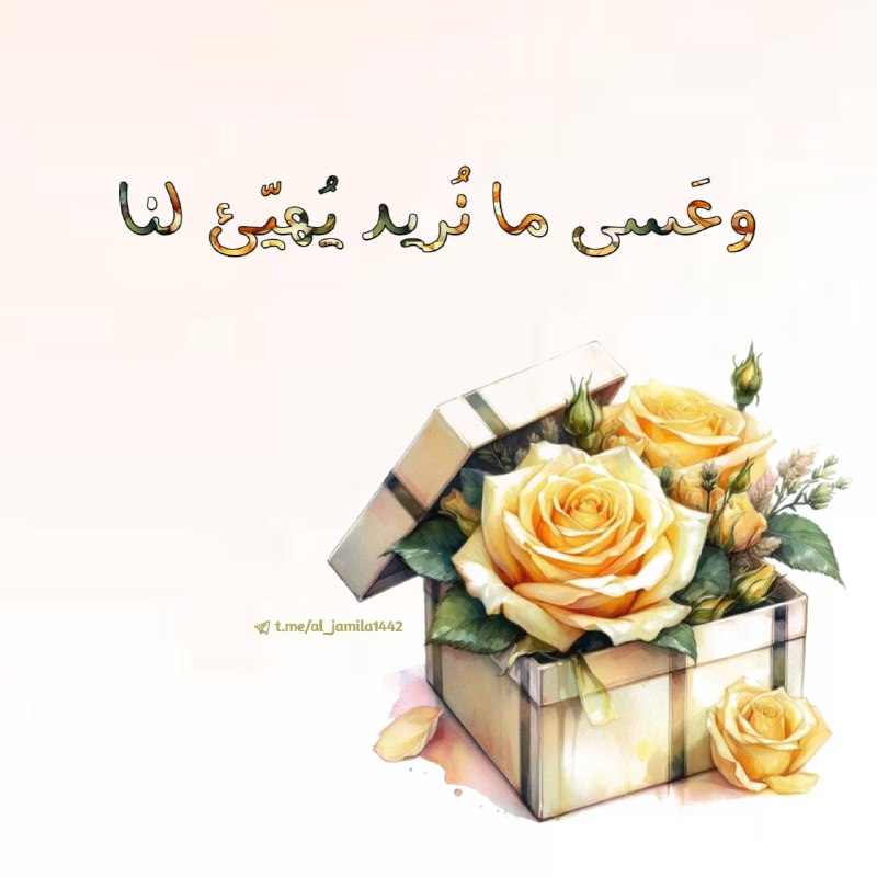 على ضفافِ الجنّة اجعل ياربُ لقيانا🌧☔️