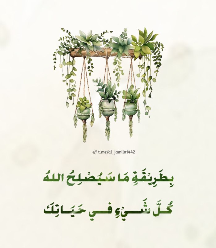 على ضفافِ الجنّة اجعل ياربُ لقيانا🌧☔️
