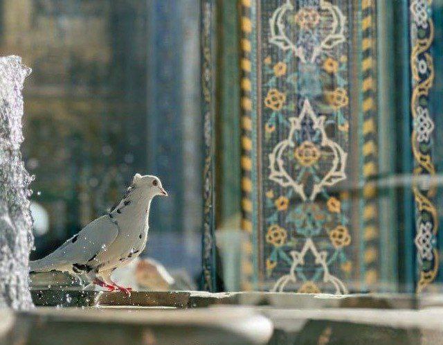 نضجت وبدأ قلبك يصبح سليمًا ومحبًا …