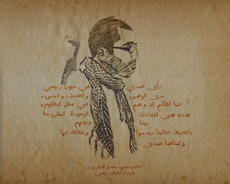 رأى حمدي في عيون زئيفي مدى …