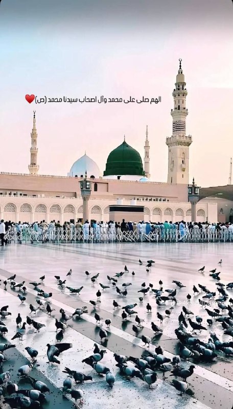 عاشقان الله «ج»