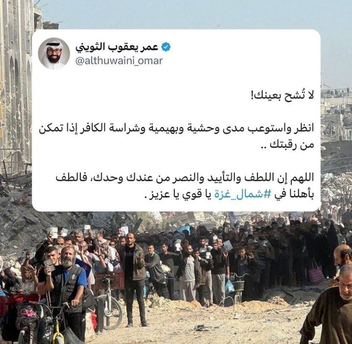 على بصيرة