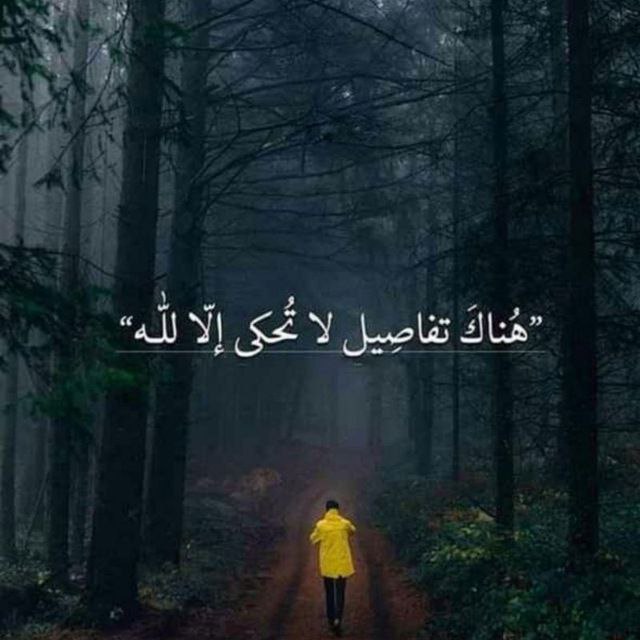 فوائد وفرائد..