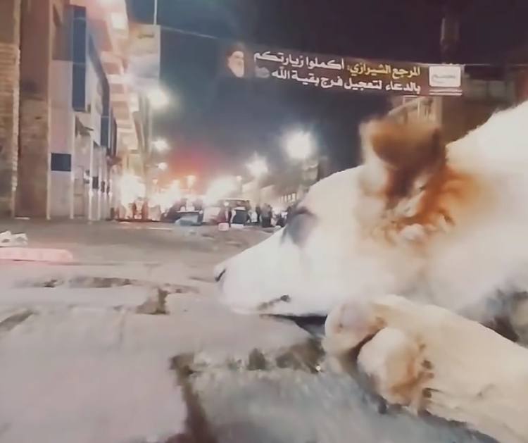أنتضرتُ رحمتك