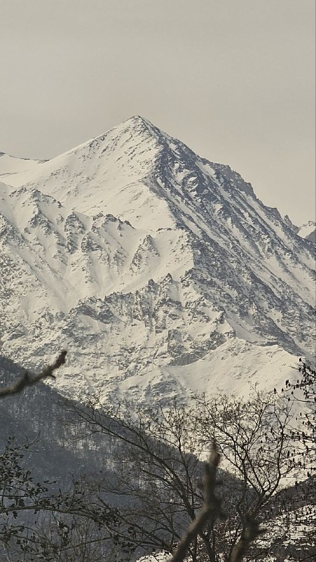 خبر روز علم کوه