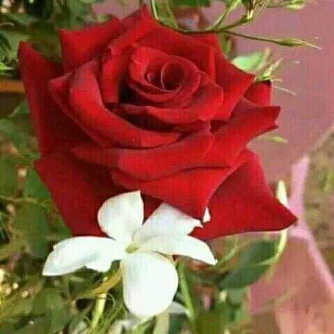 - حلمك ليس له تاريخ انتهاء …