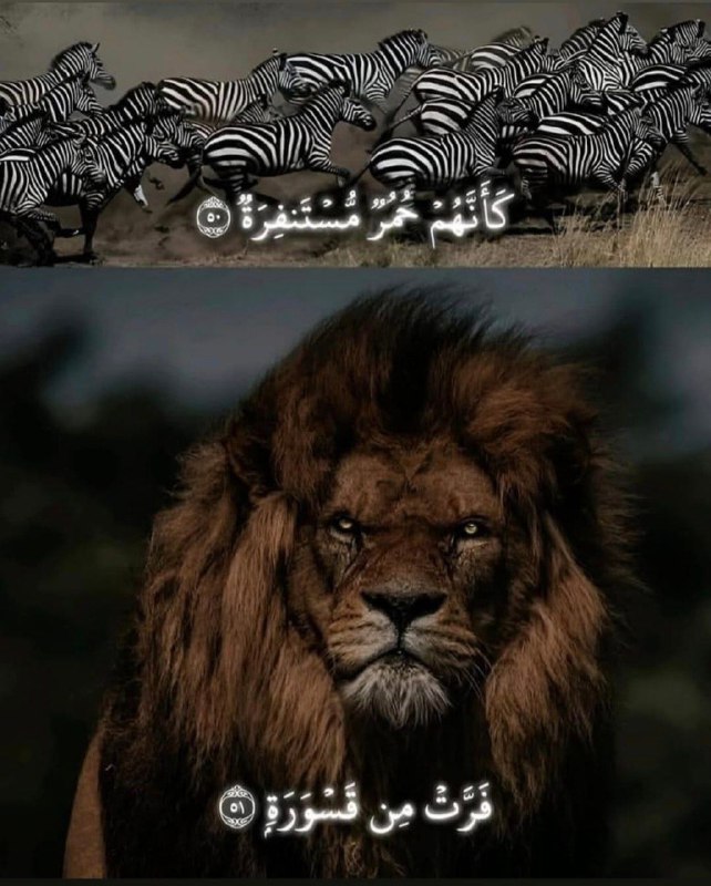 اخوة الشهادة|| ١٤١٨ هــ 🕊🤍
