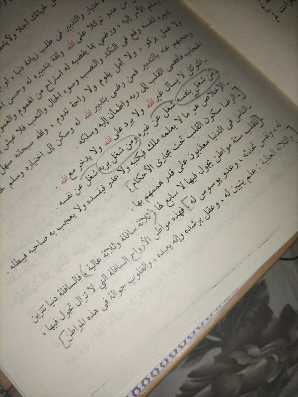 ❀ مُتنَفَسِيَٰ مـ؏َ الکُتب ⚘📜