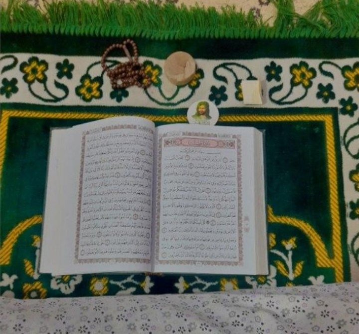 🦋•الدلائل الظاهرة 𝟑𝟏𝟑