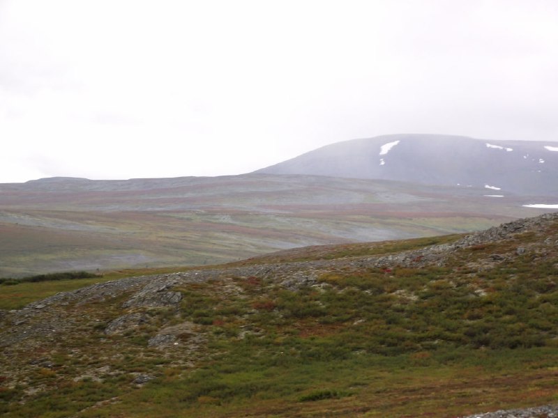 aldingarðurinn eden