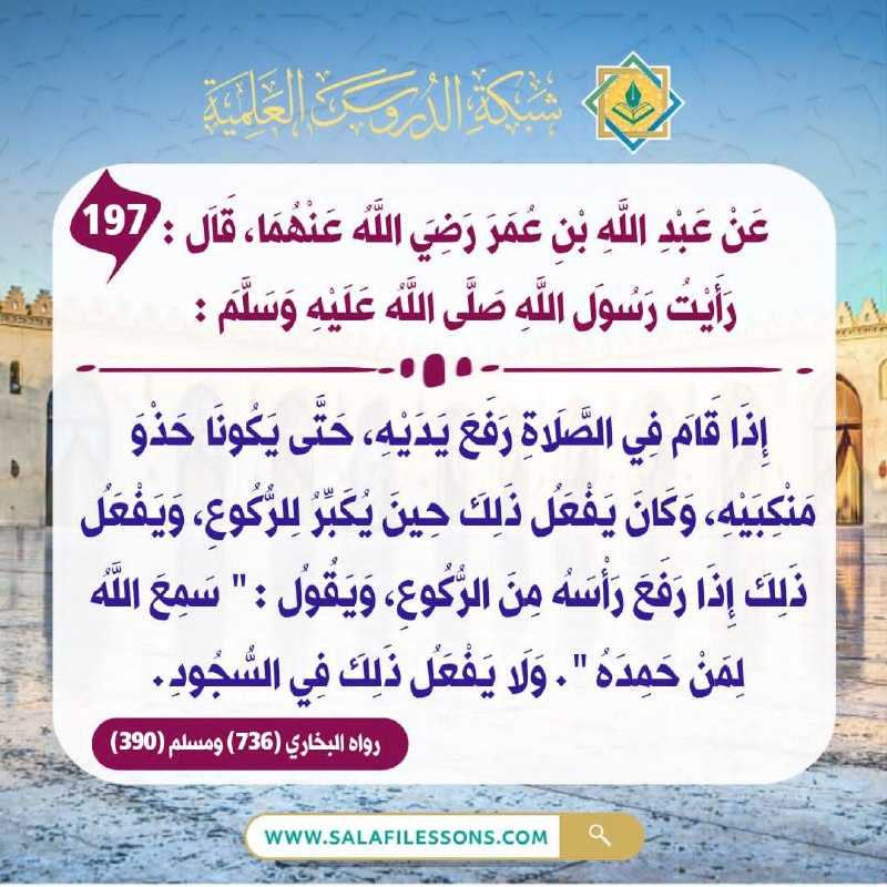 شبكة الدروس العلمية