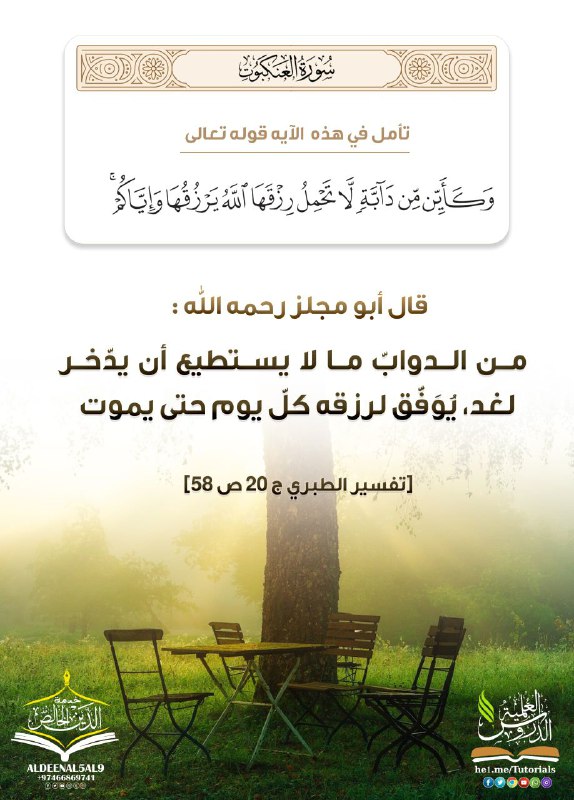 شبكة الدروس العلمية