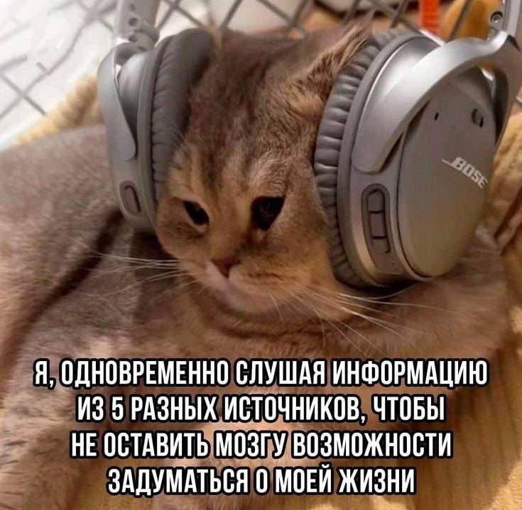 Канал Лучшей Девушки