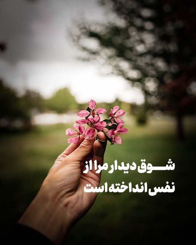 *****?*** ۱۱۵۱ سال و ۱۰ روز …