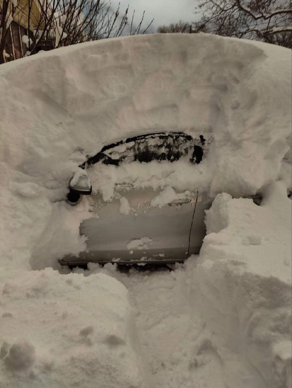 Un vehículo sepultado en la nieve …