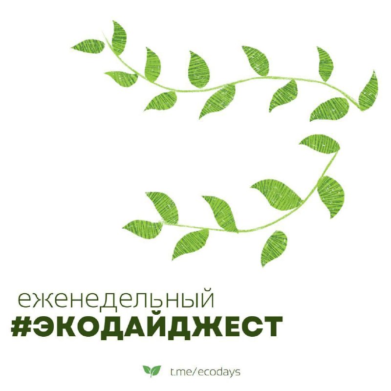 ***🌱***Всем привет! И это наш [#экодайджест](?q=%23%D1%8D%D0%BA%D0%BE%D0%B4%D0%B0%D0%B9%D0%B4%D0%B6%D0%B5%D1%81%D1%82)***🍀***