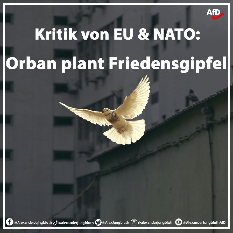 ***‼️***Orban organisiert Ukraine-Friedensgipfel***‼️***