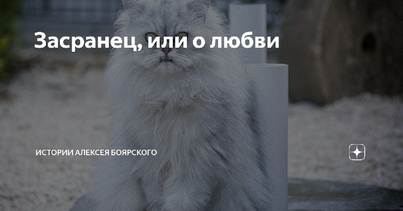 Вечер. Время для расслабляющего жизнеутверждающего рассказа. …