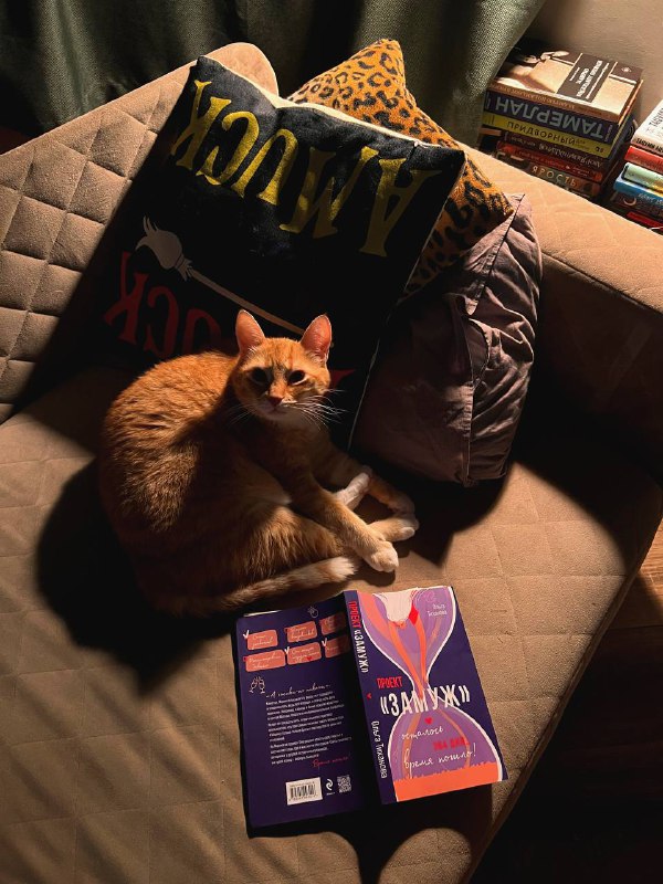 В плену кота, книги и дивана***📚******🐾***