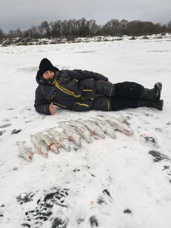 Алексей Орев 🇷🇺🐻‍❄️