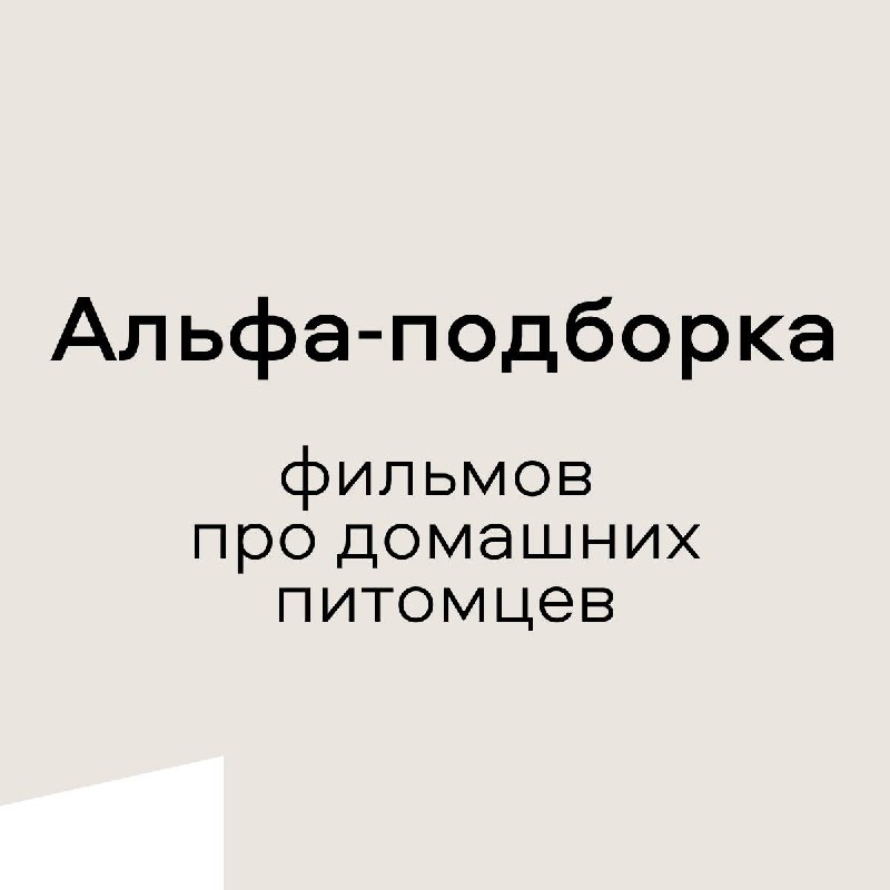 Застройщик «Альфа» | Премиум, бизнес и …