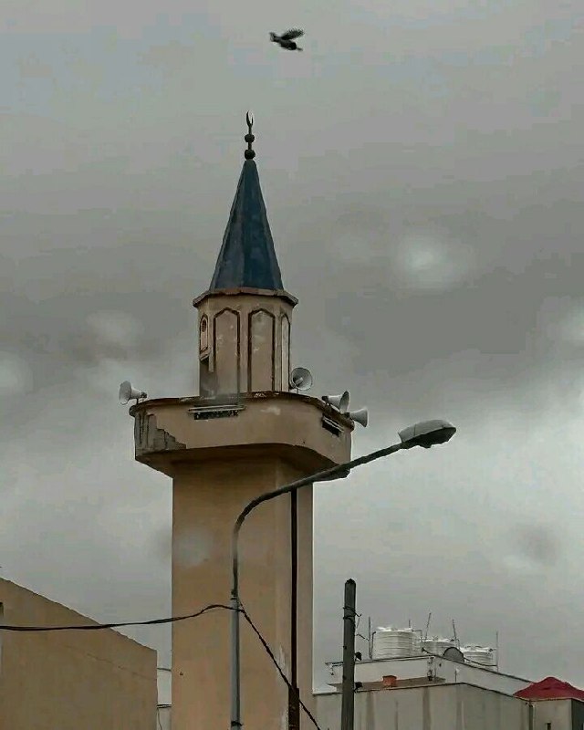 «تكون الشام في آخر الزمان معقلًا …