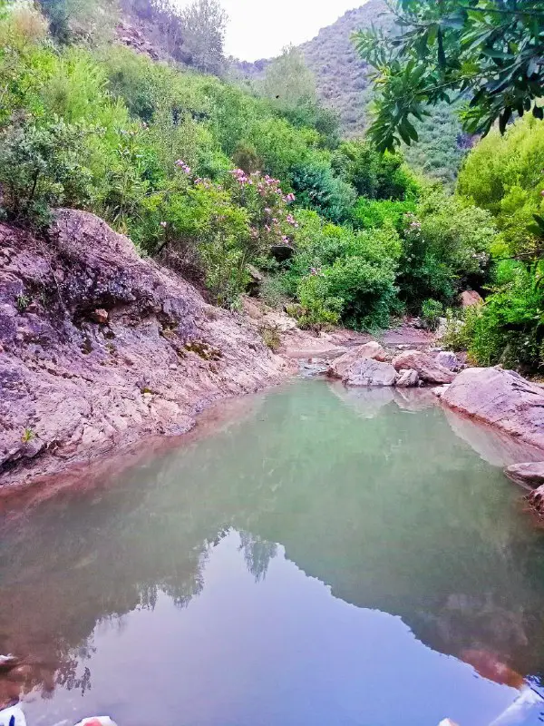 سافر في الجزائر