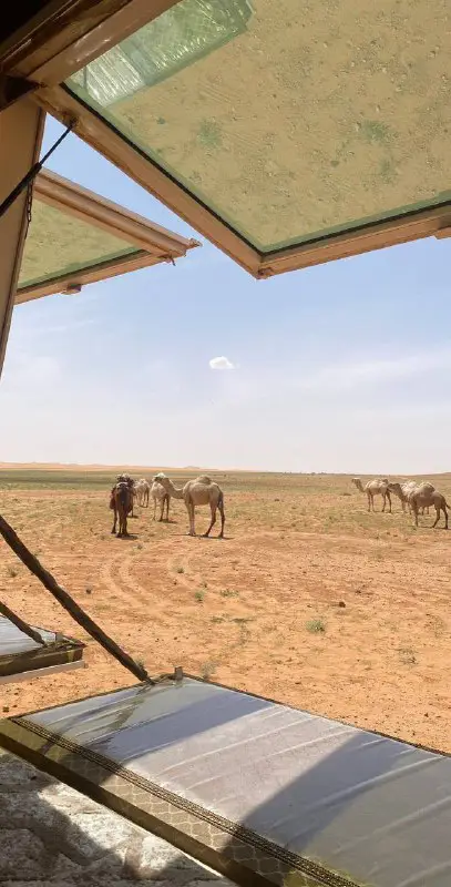 **في خدها ربيعٍ عليه البدو حيّالي …