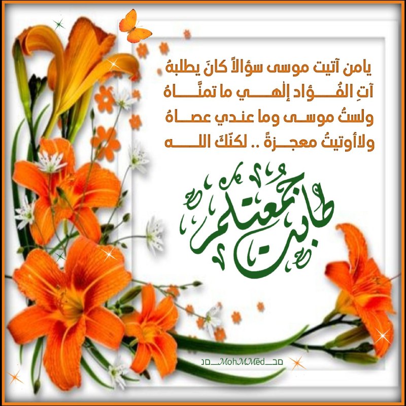 **وقفة تدبر ...