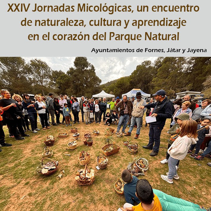 XXIV Jornadas Micológicas, un encuentro de …