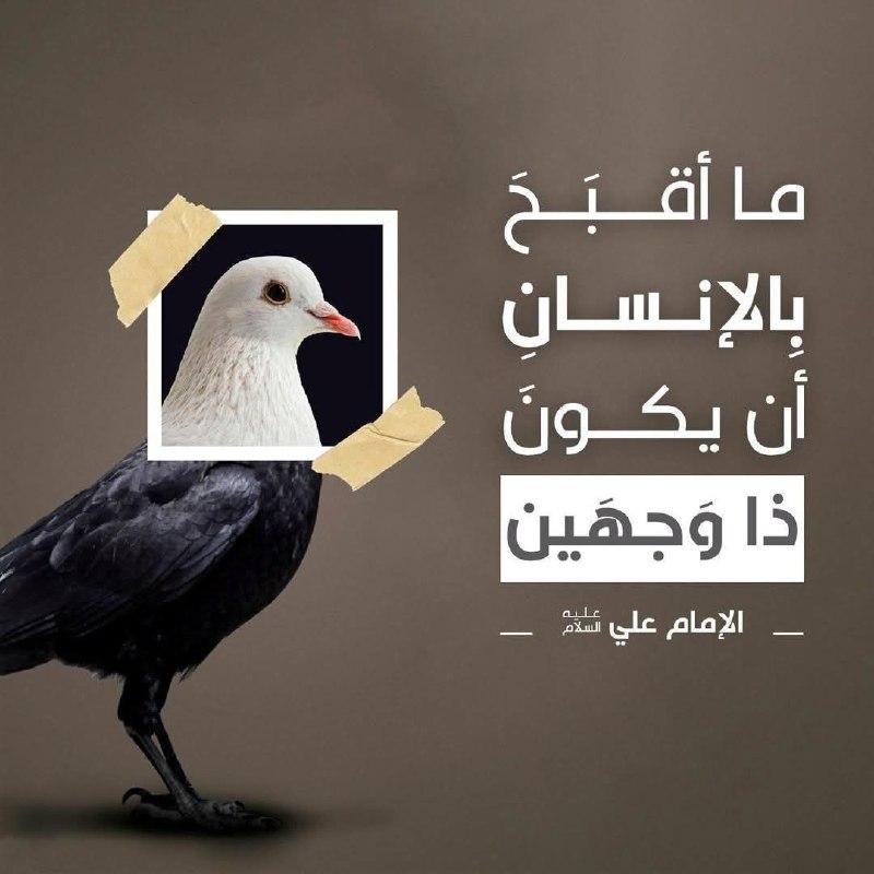 كل يوم رواية عن اهل البيت …