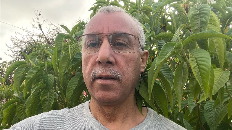 قناة سندباد للتدريب والكوتشينغ