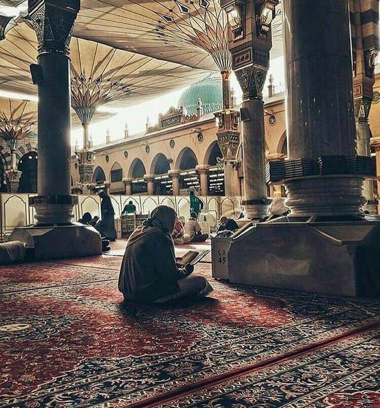 شَــذَرات عَــطِــرةْ💜