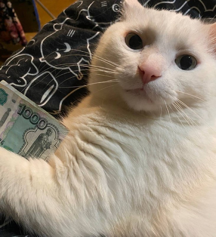 Не знаю, пусть будет