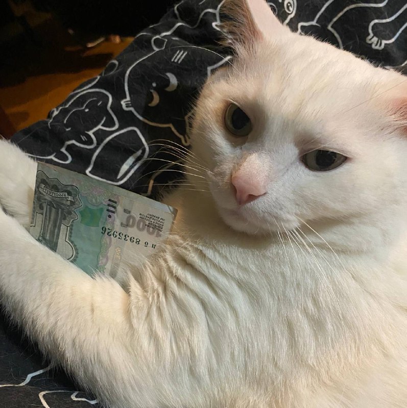 Не знаю, пусть будет