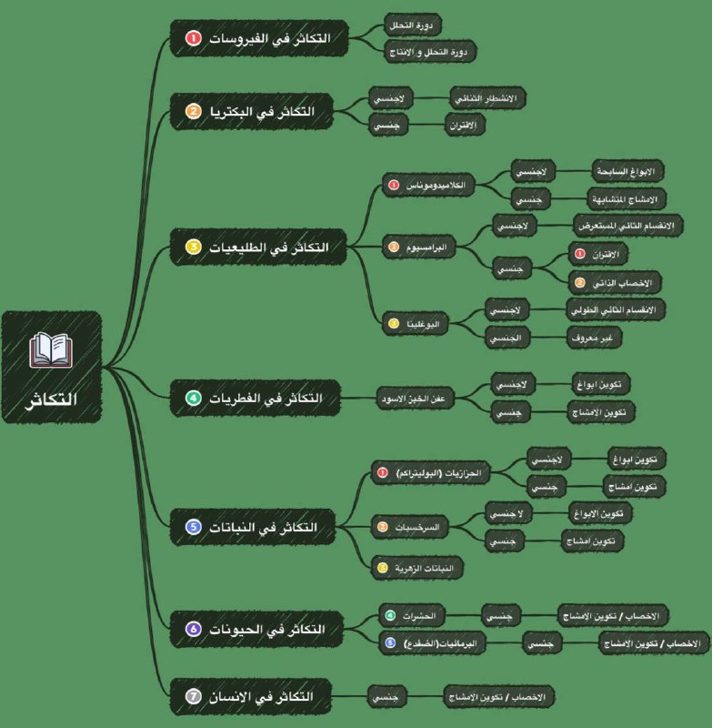 ابسط مثال هذا تقسيم الفصل الثالث …