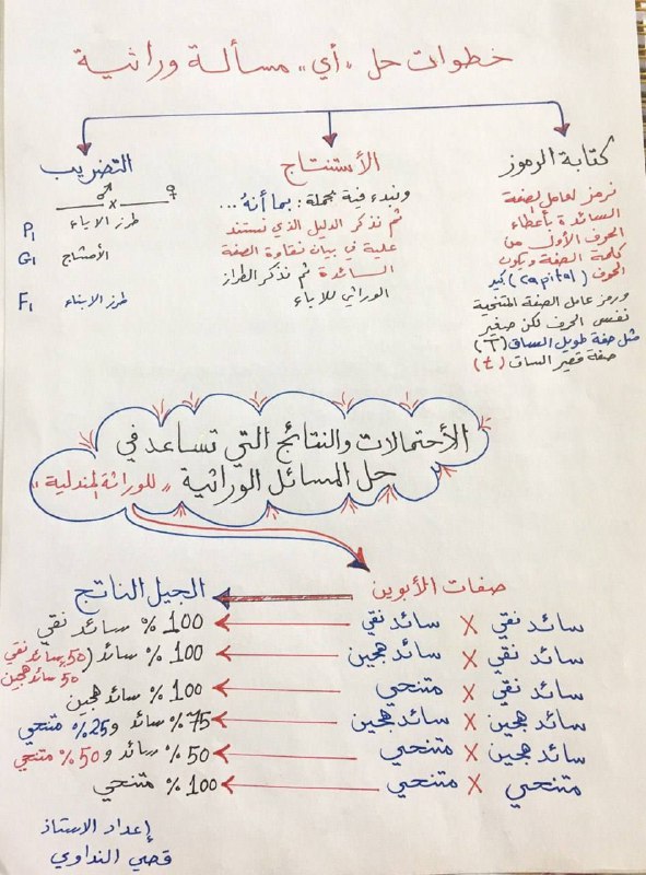 السادس مع علي ✍