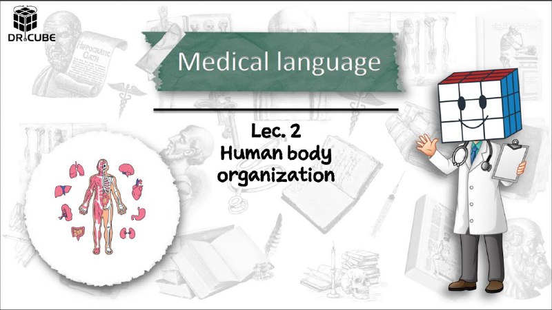 المحاضرة الثانية لمادة ال Medical language