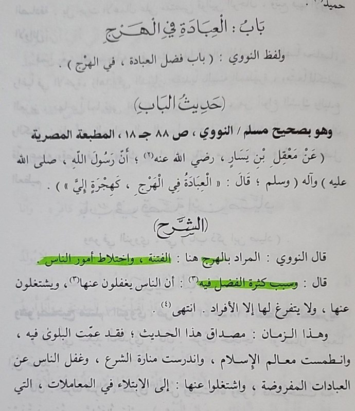فضل العبادة في الأوقات التي يغفل …