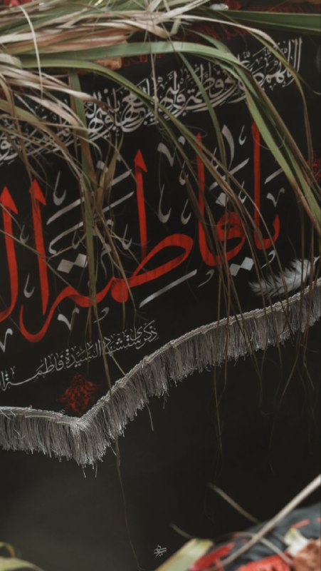 علي حسين