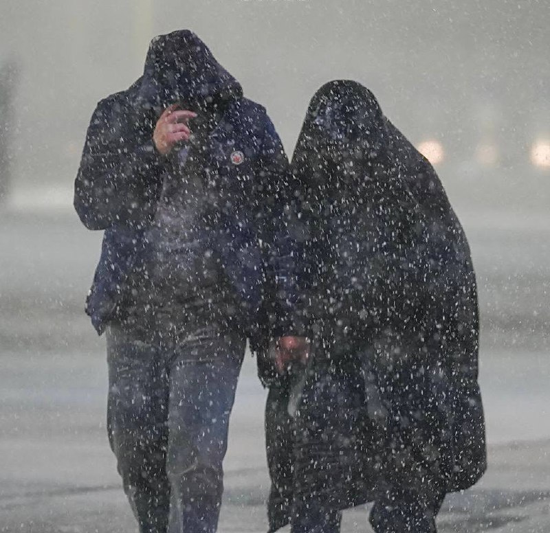 ‏حُبٌّ رَضَوِّي، ثَلج، وأُنُس***❄️******❤️***.